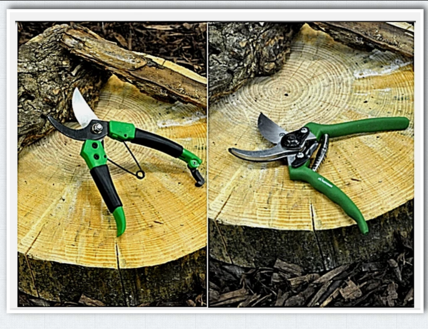 High Quality Bypass Secateurs Heavy duty smooth cutter