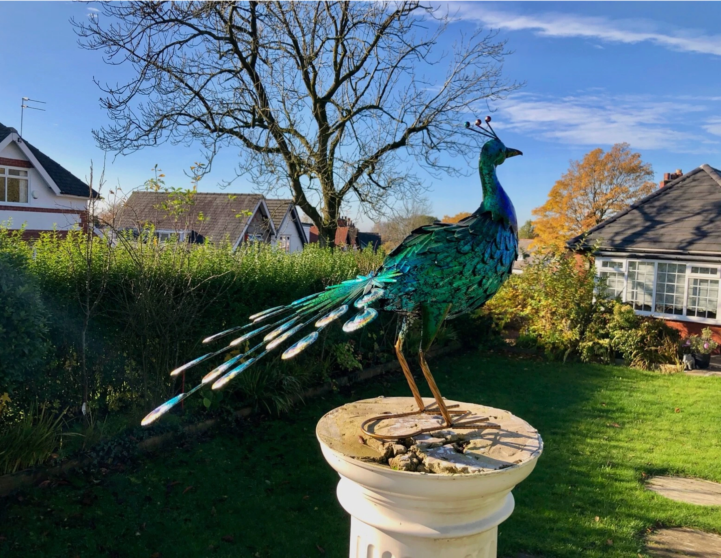 Large 64cm Exotic Bird Peacock Blue Decorative Garden Sculpture Statue Ornament looking forward