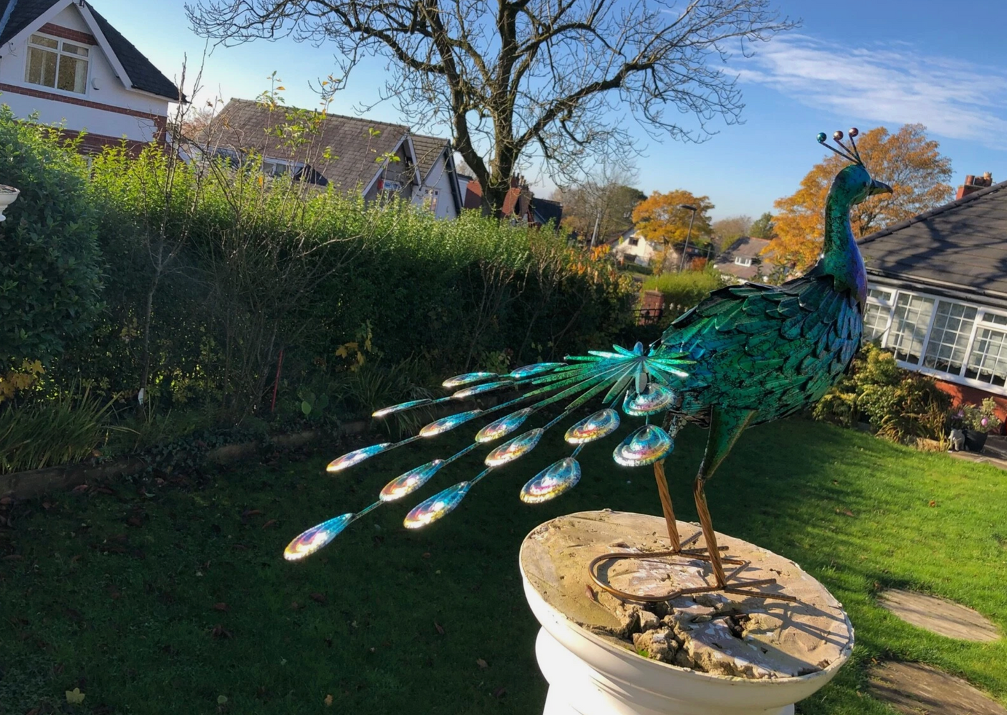 Large 64cm Exotic Bird Peacock Blue Decorative Garden Sculpture Statue Ornament looking forward