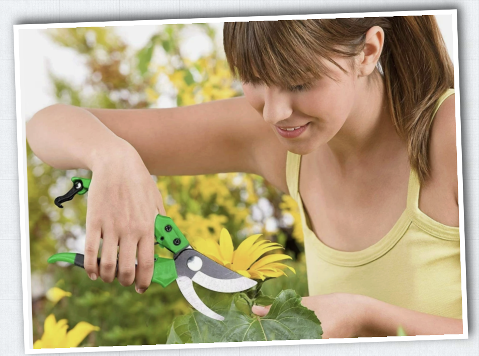 Amtech heavy duty pruner heavy duty smooth cutter