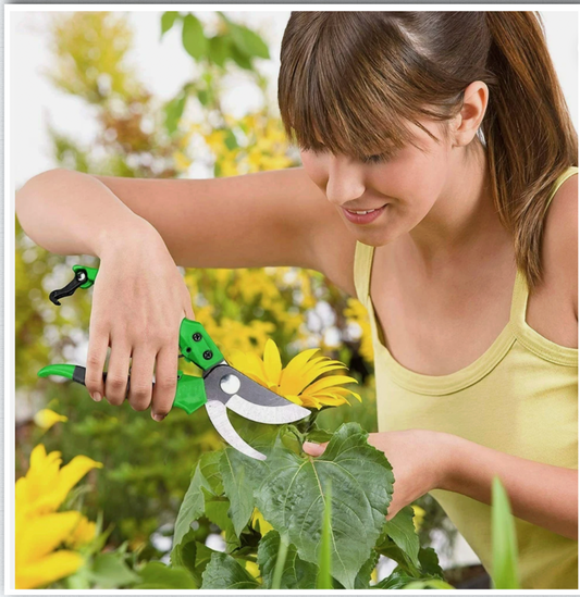 High Quality Bypass Secateurs Heavy duty smooth cutter