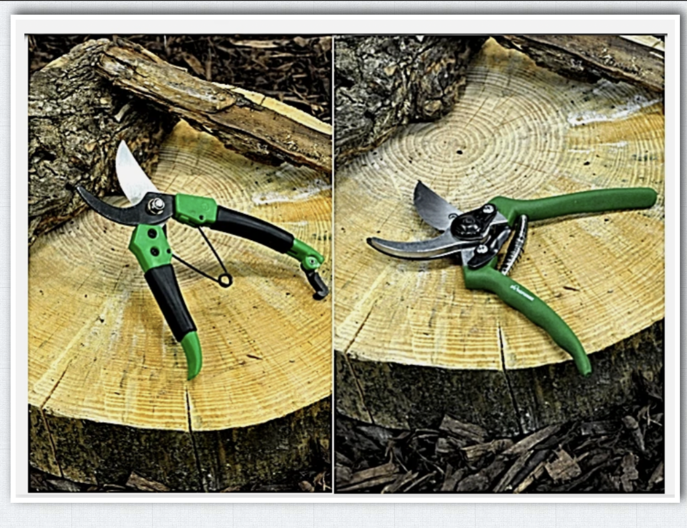 High Quality Bypass Secateurs Heavy duty smooth cutter