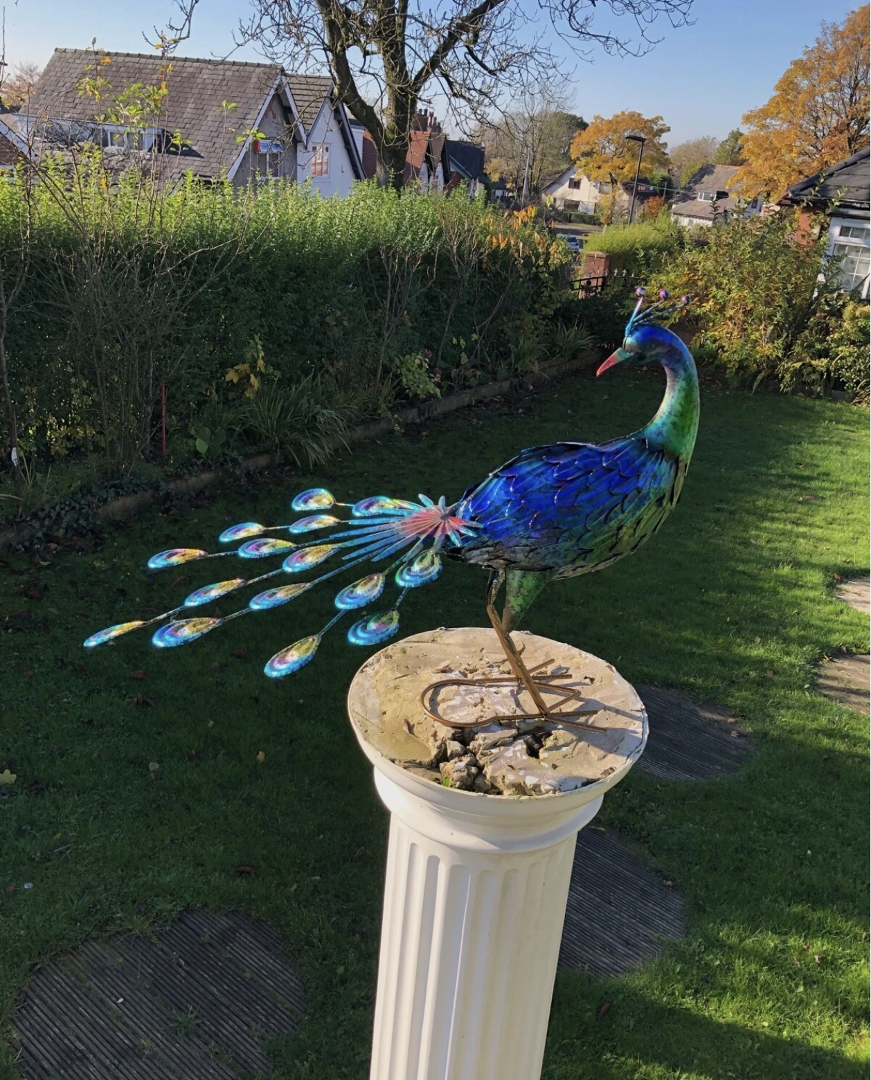 Large 64cm Exotic Bird Peacock Blue Decorative Garden Sculpture Statue Ornament