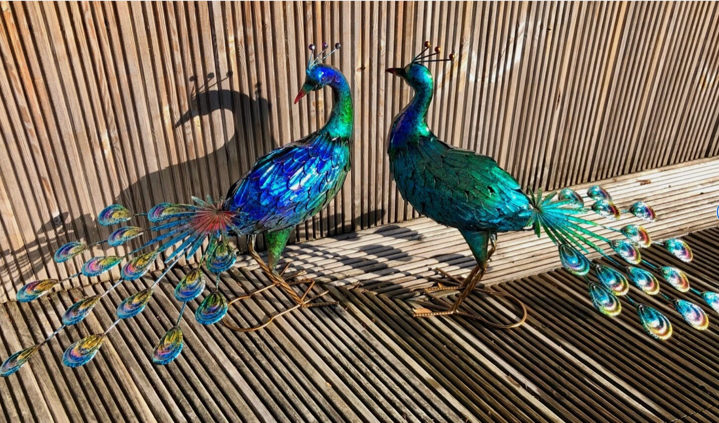 Large 64cm Exotic Bird Peacock Blue Decorative Garden Sculpture Statue Ornament